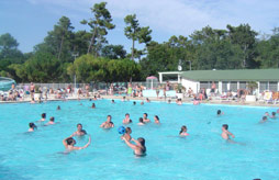 LA PALMYRE