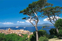 Camping Le Tamerici
