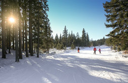Camping Les Taillas<span>Ancelle</span>