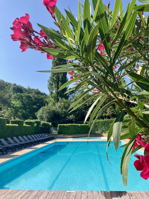 Camping Porte de Provence (Mirmande � 8km)