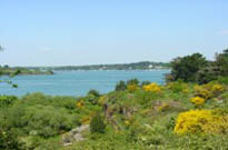 Camping Chadotel Jard sur Mer<span>Jard sur mer</span>