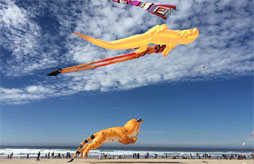 Camping Tohapi La Dune Blanche  Camiers<span>Le touquet</span>