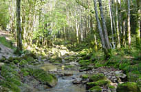 Camping Camp De Florence (La Romieu � 10 km)<span>Lectoure</span>