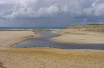 Camping Land'island<span>Moliets</span>