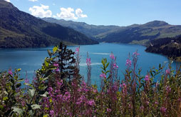 Camping Homair Les Iles<span>Passy</span>