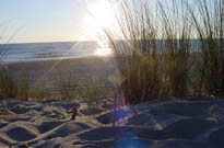 Camping Mme Duprat Gisle<span>Soustons - port d'albret</span>