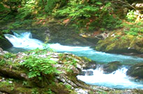 Camping Le Grand Morgon (Savines Le Lac � 7km)<span>Saint vincent les forts</span>