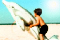 Camping Acqua e Sole<span>Sainte lucie de porto vecchio</span>