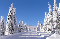 Camping Campagne D'en Haut<span>Seix</span>