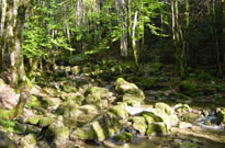 Camping Marvilla Parks Le Domaine de Massereau<span>Sommieres</span>