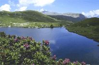 Camping Levico<span>Trentin</span>